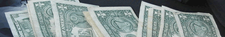 IRS Guidelines Banner